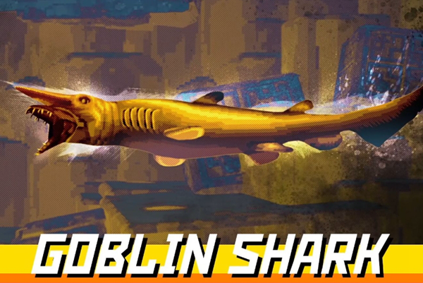 潜水员戴夫睡眠枪能睡鲨鱼吗