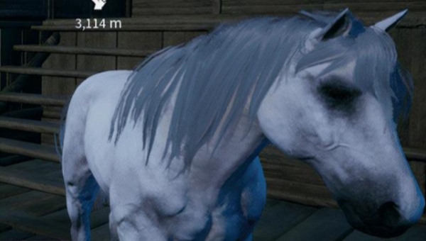 帝国神话训马技巧介绍