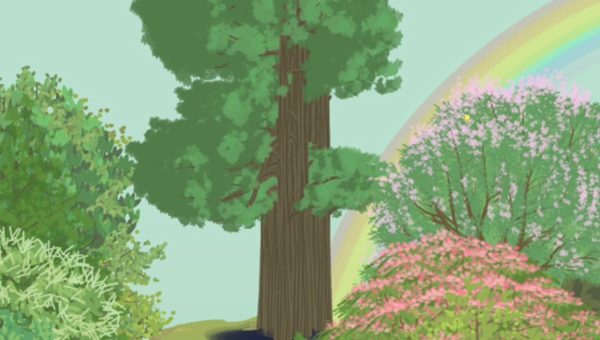 老农种树怎么收集鸟叫