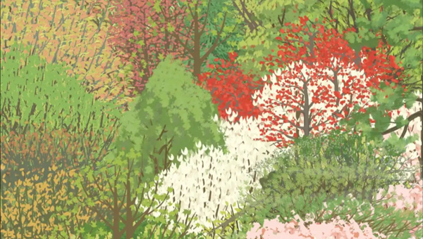 老农种树怎么给慕容富送礼物