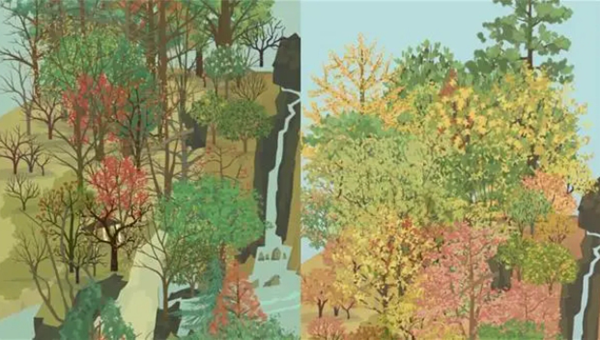 老农种树怎么续缘一棵树