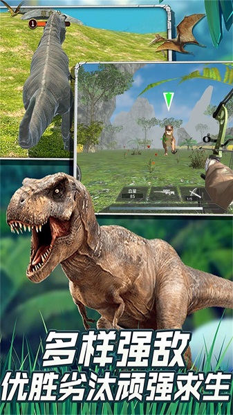 恐龙世界穿越探索游戏（5）