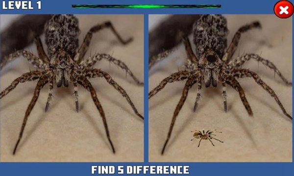 蜘蛛隐藏差异（1）