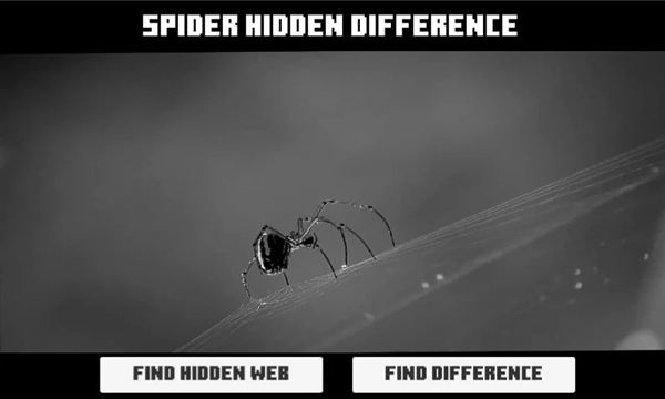 蜘蛛隐藏差异（2）