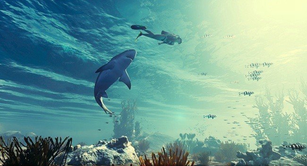 食人鲨游戏（3）